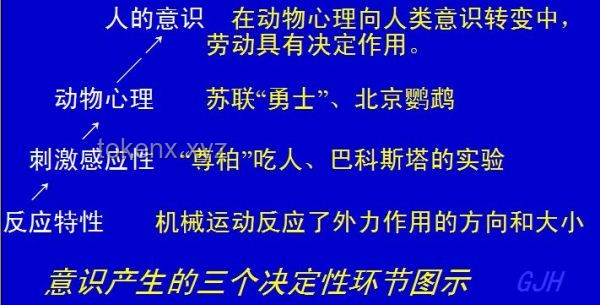 我之為我：探索個(gè)體意識(shí)與想法的起源與本質(zhì)