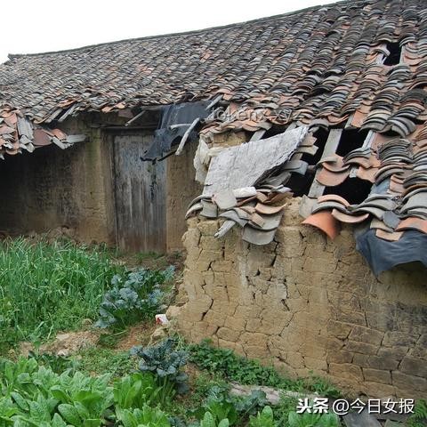 房頂瓦片滑落風險與對策對比分析：安全穩(wěn)固VS.創(chuàng)新解決