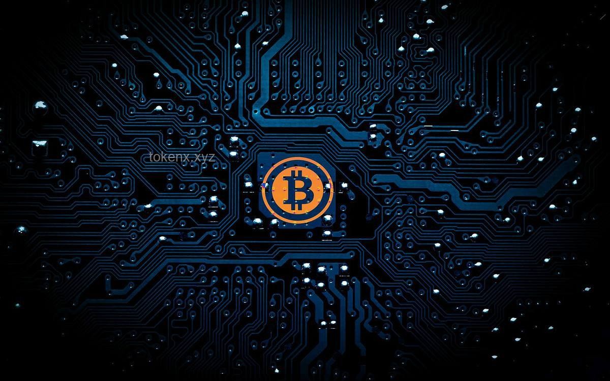 隋卞MCN網(wǎng)暴風波：真相曝光與自我錘爆的深度剖析