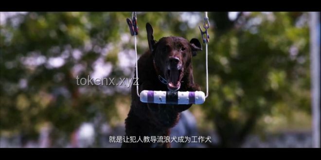 Level1573：愛的救贖——解鎖情感創(chuàng)新的密鑰