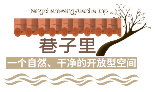 用整個青春珍藏的五種友誼：類型、價值與維系之道