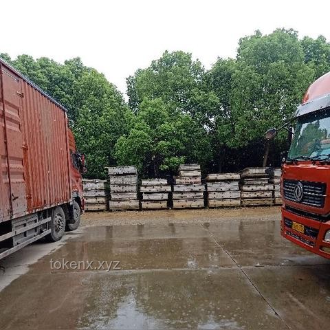 武漢暴雨全解析：來勢洶洶，如何應(yīng)對？