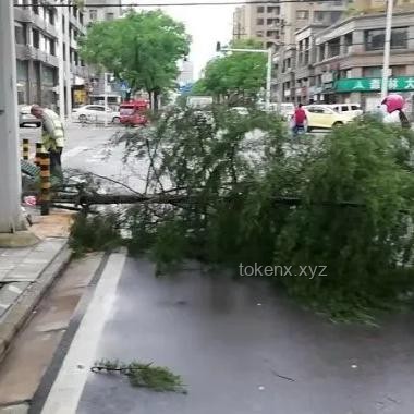 武漢暴雨全解析：來勢洶洶，如何應(yīng)對？
