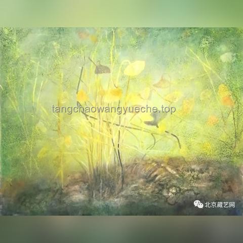 海百合：一朵自由的奇葩——探索海洋生態(tài)中的奇異生存策略