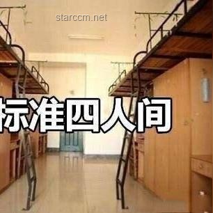 “替我在宿舍自由”與傳統(tǒng)宿舍生活對比分析
