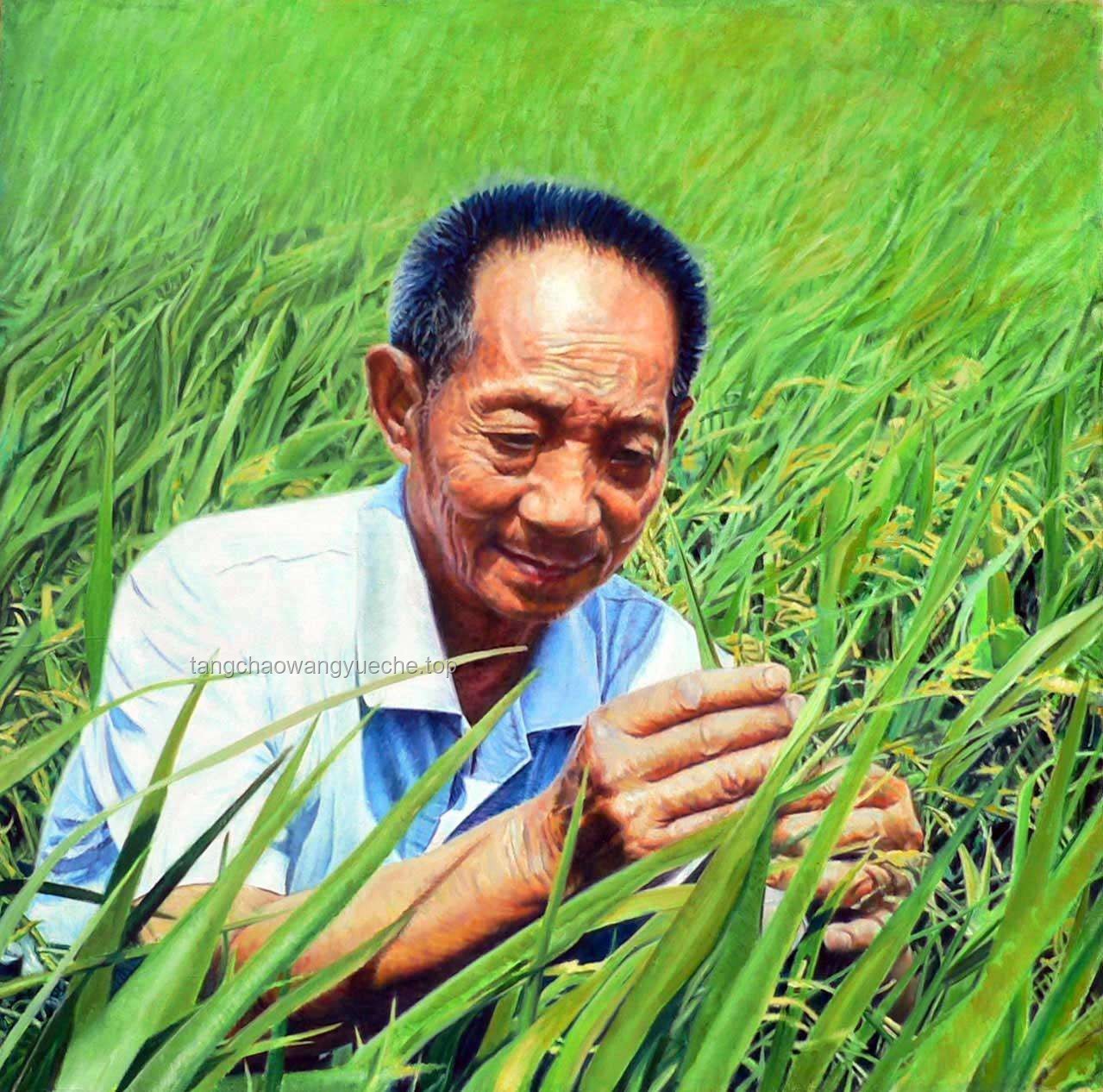 “禾下乘涼夢(mèng)”的傳承與實(shí)踐：緬懷與致敬袁隆平爺爺