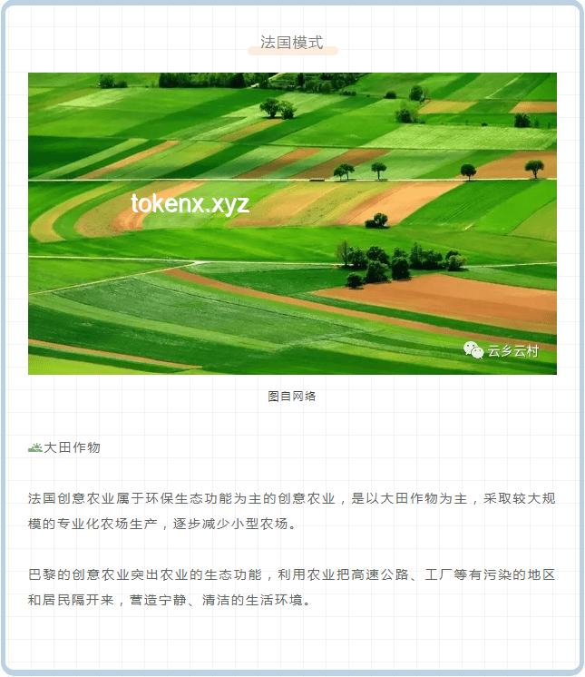 “禾下乘涼夢”的繼承與發(fā)揚：農(nóng)業(yè)科技的未來趨勢與展望