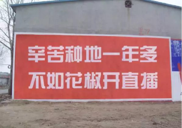 反游背后的生意揭秘：販賣焦慮、收割流量、辦集中營