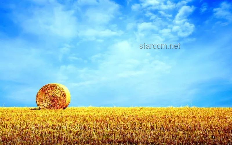 袁老歌聲中的農(nóng)業(yè)科技與行業(yè)展望：以《歌唱祖國(guó)》為鏡