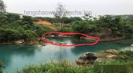 巨型鯰魚追逐致洞穴探險(xiǎn)者溺亡：探險(xiǎn)、救援與生態(tài)保護(hù)深度分析