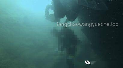 巨型鯰魚追逐致洞穴探險(xiǎn)者溺亡：探險(xiǎn)、救援與生態(tài)保護(hù)深度分析