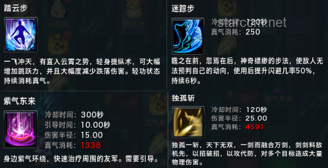 **“醫(yī)術(shù)與拳腳：技能對比與適用性分析”**