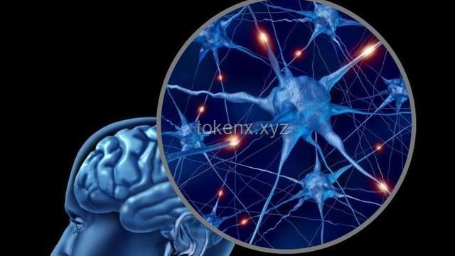 【差分宇宙科研】揭秘抽血流青雀：DOT隊(duì)的終極拼圖與血條消失術(shù)