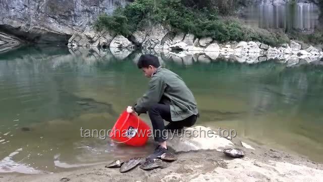 趕海現(xiàn)抓現(xiàn)吃時遇到可愛小水母的處理方案