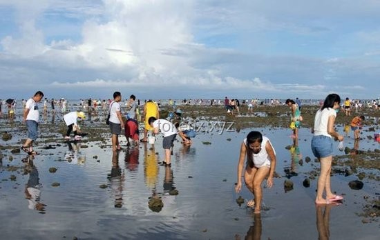 趕海旅游行業(yè)新趨勢：現(xiàn)抓現(xiàn)吃與海洋生態(tài)體驗的融合探索