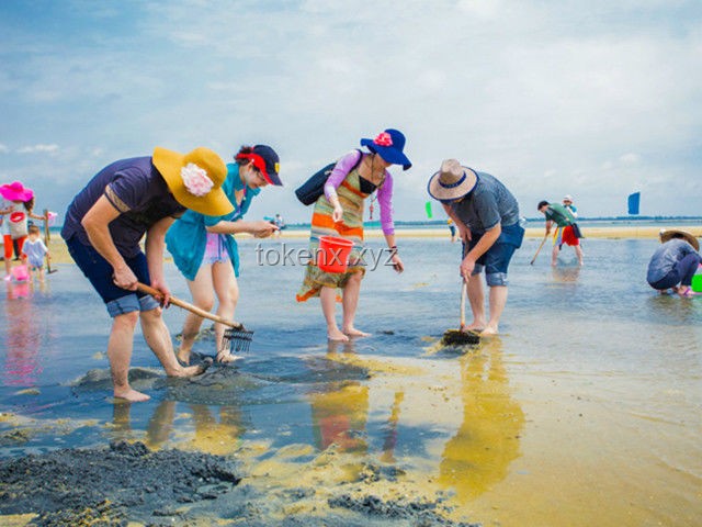 趕海旅游行業(yè)新趨勢：現(xiàn)抓現(xiàn)吃與海洋生態(tài)體驗的融合探索