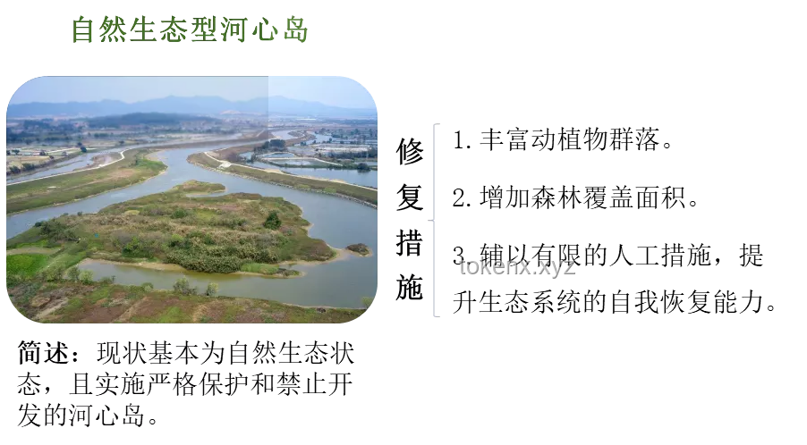 修水壩二期工程與溪流生態(tài)環(huán)境恢復(fù)：義不容辭的責(zé)任與策略