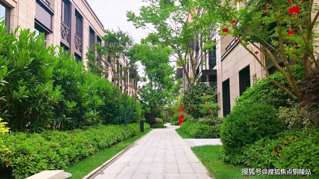 **【臟增肌30天】我的身體發(fā)生了什么變化？！**