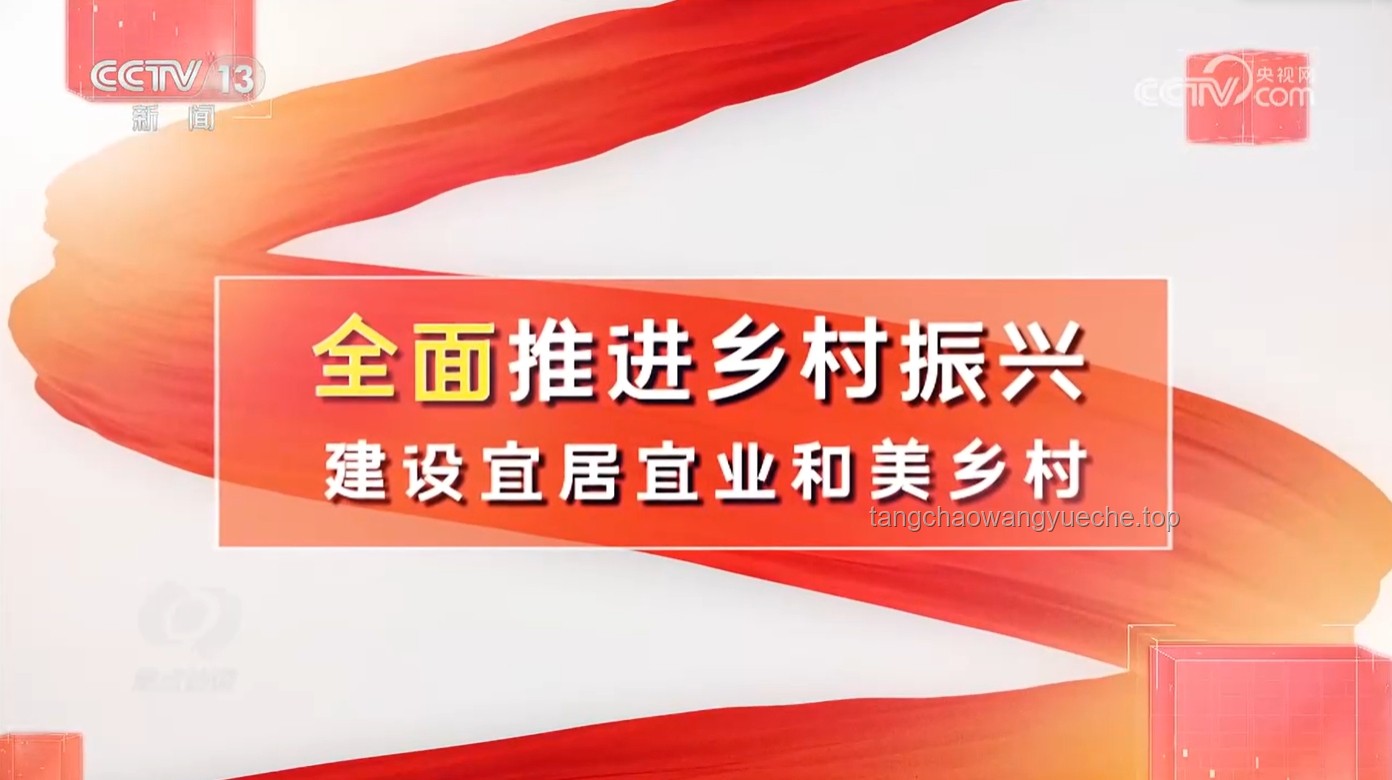 礪精兵 向未來：鄉(xiāng)村振興培訓(xùn)下的黨建引領(lǐng)與機(jī)遇挑戰(zhàn)