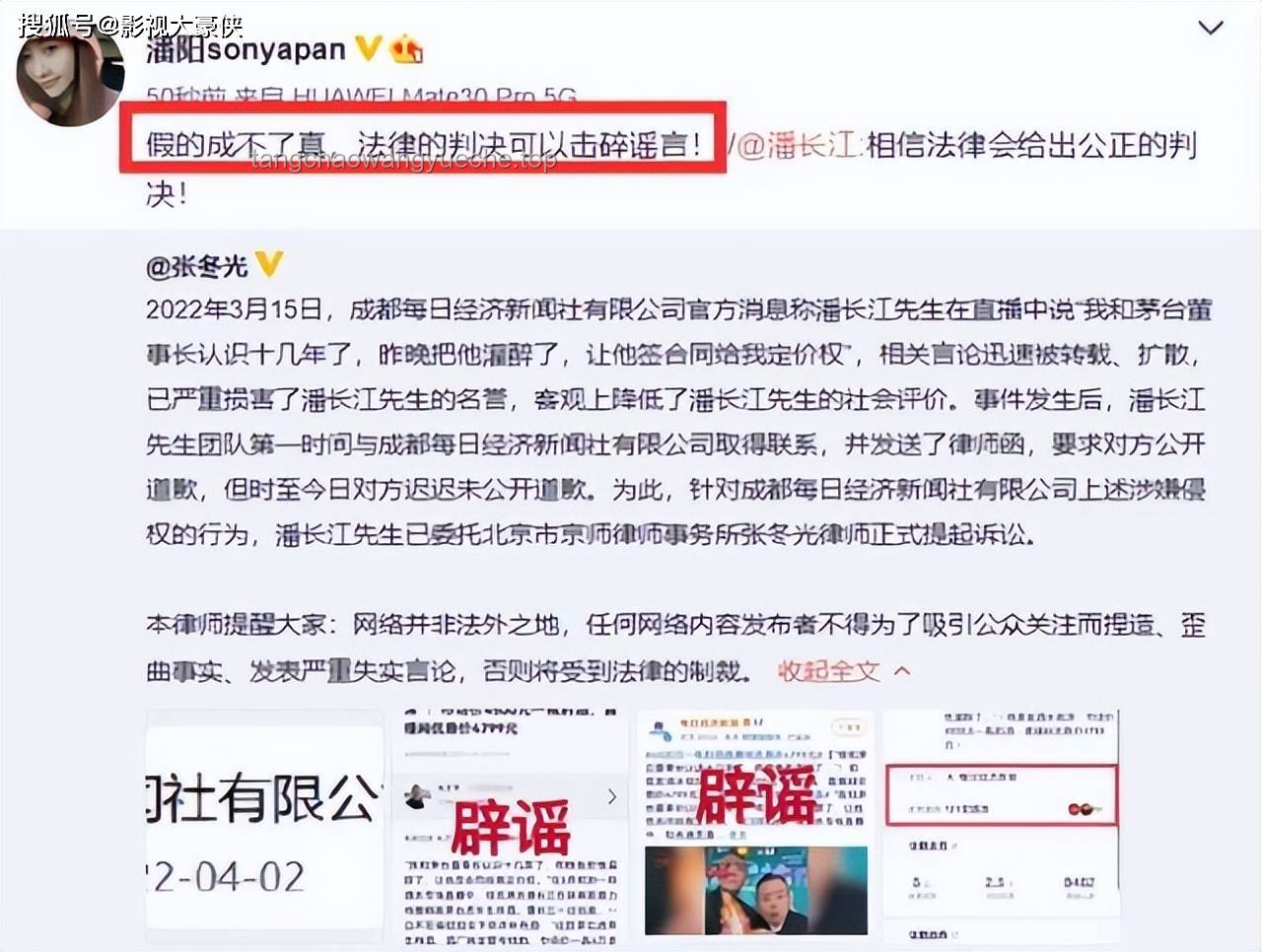 “潘長江被判”事件法律解決方案探究