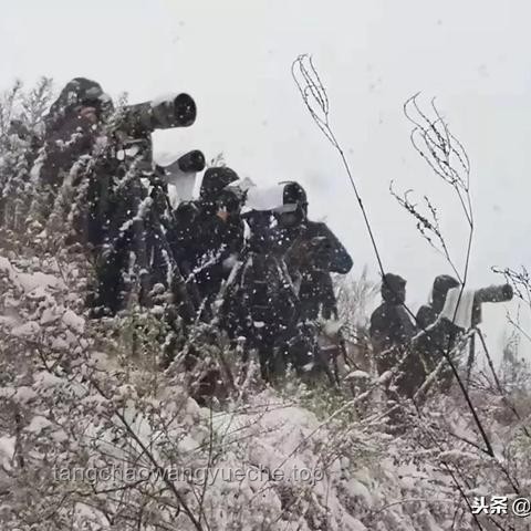 ??【天鵝湖校區(qū)?榮耀綻放】冠軍之路：以創(chuàng)新思維鑄就全國錦標(biāo)賽巔峰