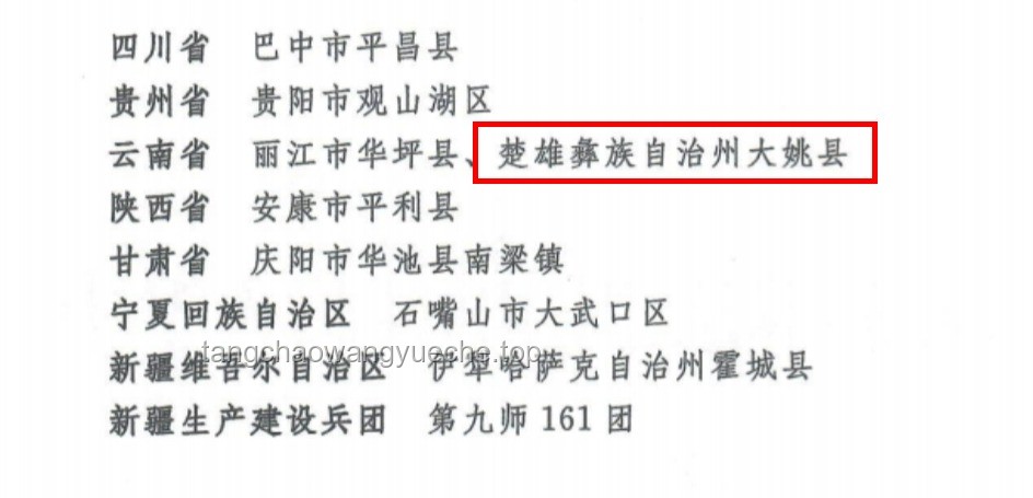 **從“神似傅首爾”到反義詞爆紅：創(chuàng)意命名的創(chuàng)新思維之旅**
