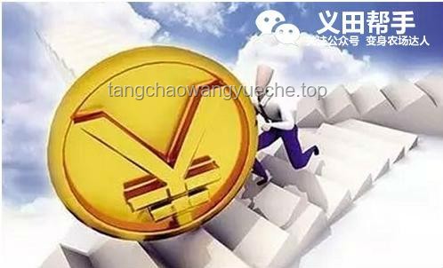四家銀行解散風(fēng)波下的儲戶安全與行業(yè)透視：挑戰(zhàn)、機(jī)遇與未來策略