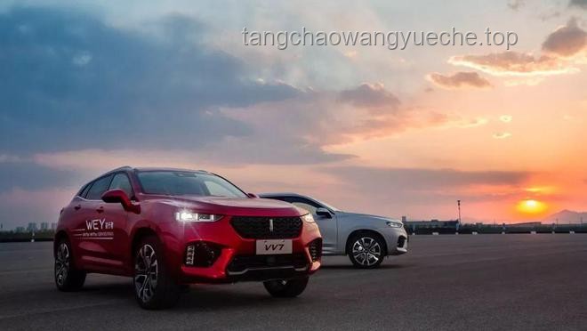 魏建軍口中的“車圈恒大”，究竟是誰？