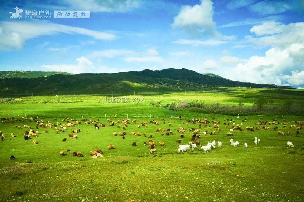 內蒙古“落日彩虹”奇觀頻發(fā)：自然美景背后的趨勢預測與應對策略