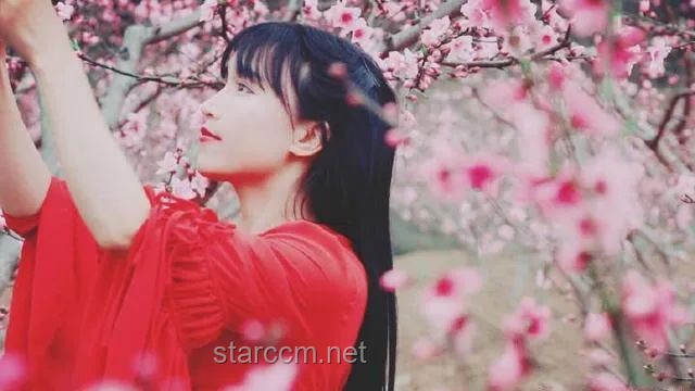 **閉關(guān)半年，李子柒現(xiàn)身婺源：一段心靈與自然的深度對(duì)話**