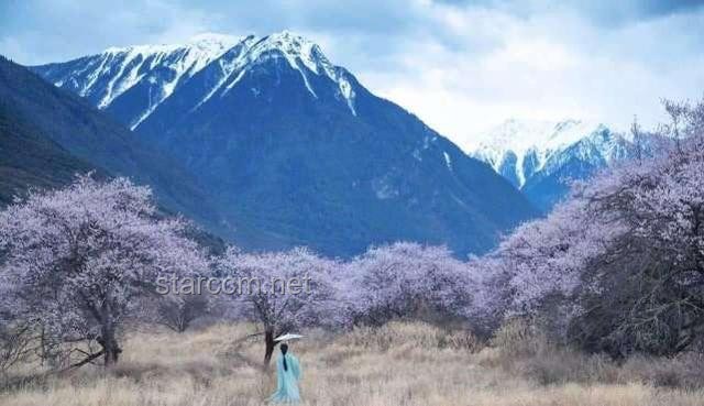 **閉關(guān)半年，李子柒現(xiàn)身婺源：一段心靈與自然的深度對(duì)話**
