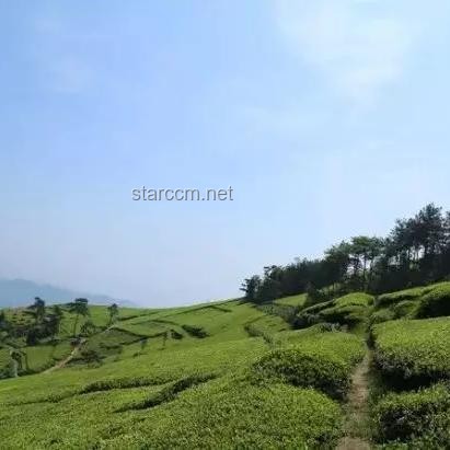 **印尼總統(tǒng)的感激之情：中國援助下的共克時艱**