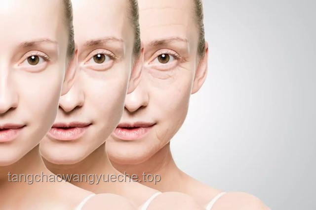 媳婦臉上的點(diǎn)和線：解鎖未來美容科技新趨勢(shì)
