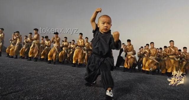 如何應(yīng)對“藏海傳陸燼演員是少林寺武僧”這一設(shè)定帶來的挑戰(zhàn)與機遇