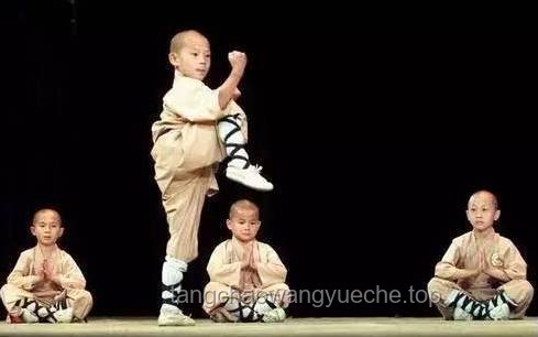 《藏海傳》中陸燼角色的武術(shù)演繹：少林寺武僧的專業(yè)呈現(xiàn)