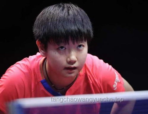 **孫穎莎哭了：背后的汗水、堅持與榮耀**