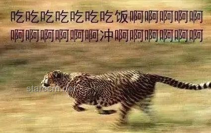 動(dòng)物園方回應(yīng)灰鶴被七只老虎搶食事件始末