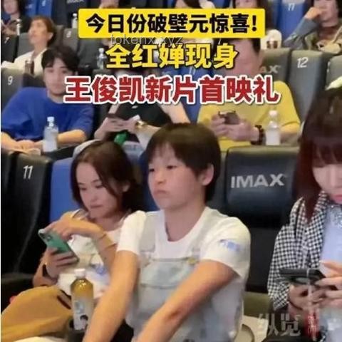 獨立游戲在中國：插曲——手游版號辦理完全攻略