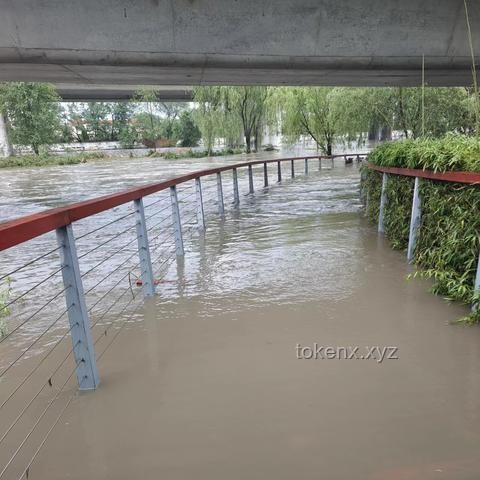 什么橋都敢堵？了解交通違法行為與公共安全