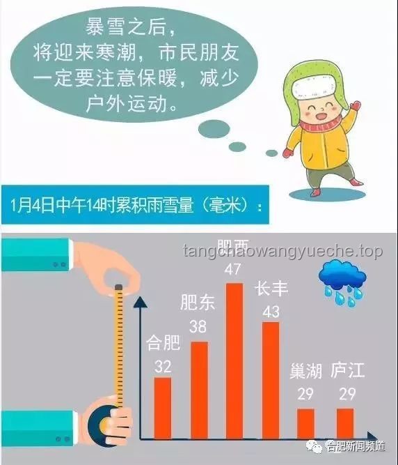 《鱗甲下的哀傷》趨勢預測：從網絡熱度到社會情感共鳴的深化