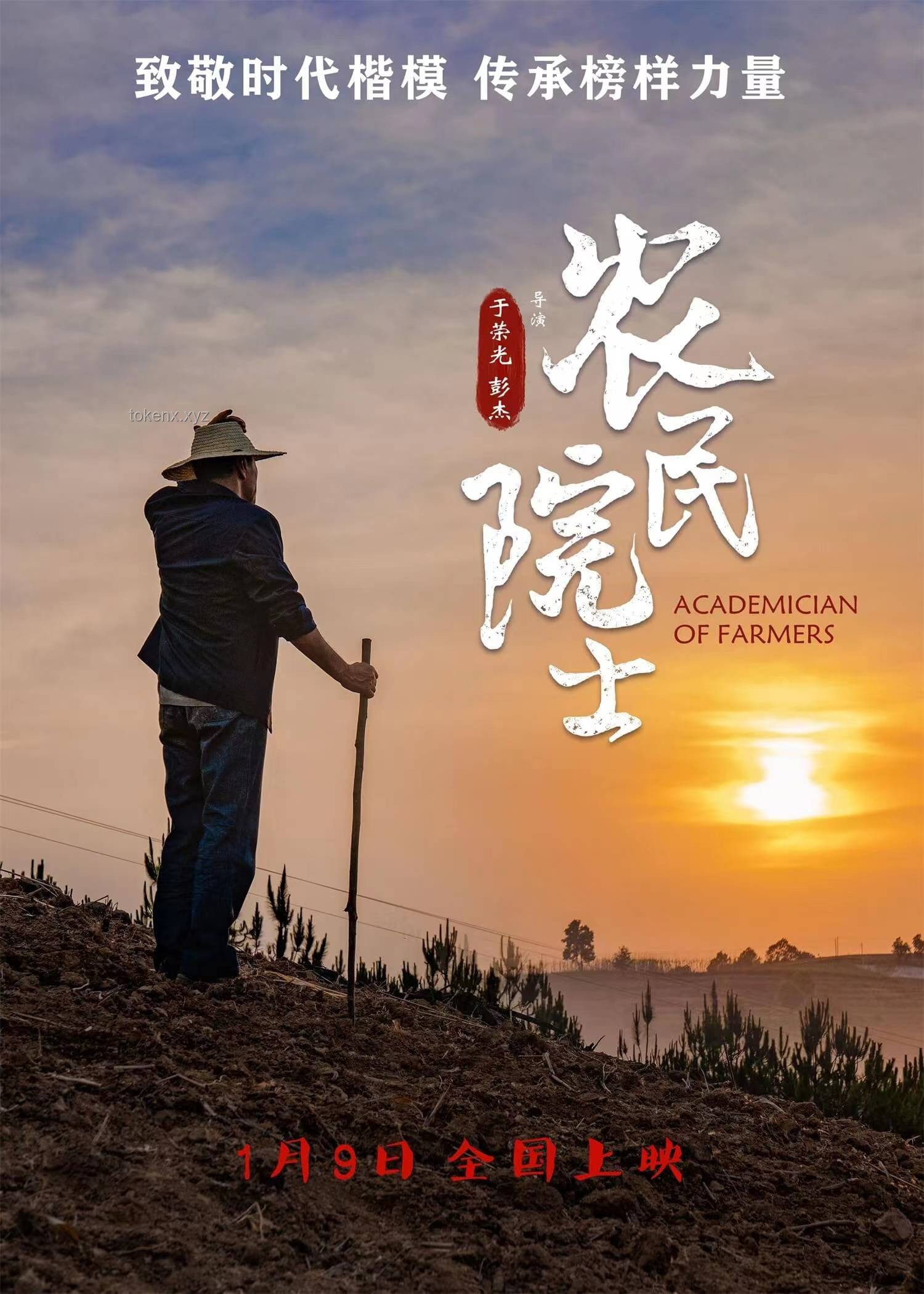 雖人窮但志不窮：螢火突擊的東山再起之路與猛攻季深度解析