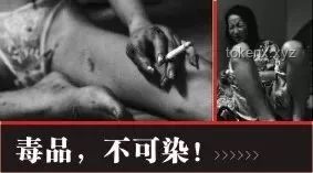 美國社會視角下：毒品、暴力與政治正確的真實(shí)看法【你好美國 Reaction】指南