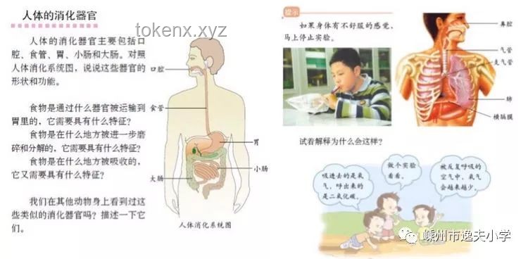 【畢導(dǎo)級(jí)科普】探索身體奧秘：科學(xué)解析呼吸方式，肛門呼吸真相揭秘