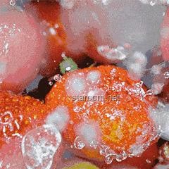 一萬暴擊！科技、經濟、社會與心理的未來趨勢預測