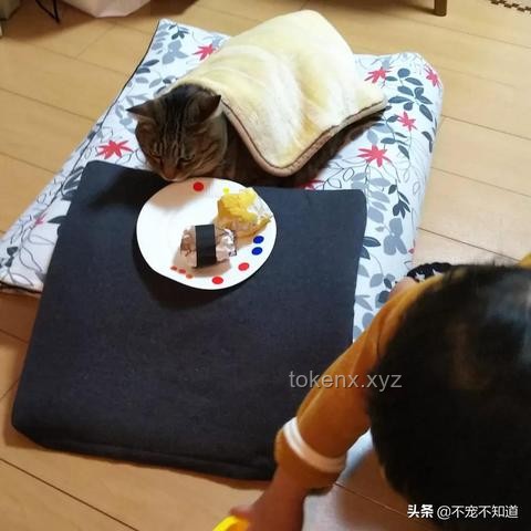 哈哈墻推術(shù)：解鎖創(chuàng)新思維的另類關(guān)卡秘籍