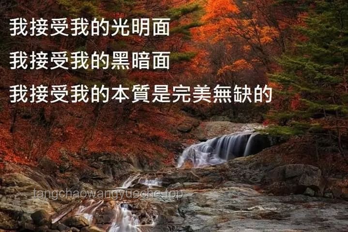 “鱷魚效應”下的情感斷崖：李琳的情感自救之路