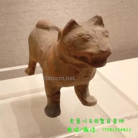 “福報(bào)守護(hù)戰(zhàn)”：警惕“三借”陷阱，守護(hù)個(gè)人資產(chǎn)與人際關(guān)系