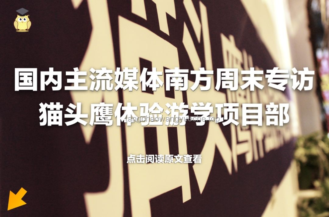 替我在宿舍自由：解鎖你的大學(xué)生活新姿勢