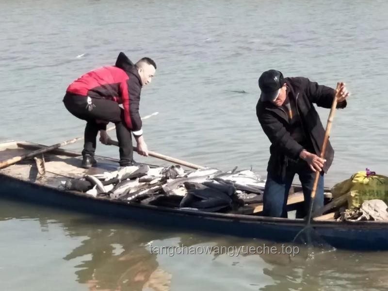 ??從洞穴探險(xiǎn)到創(chuàng)新啟示：追鯰魚(yú)的勇氣與救援的反思??