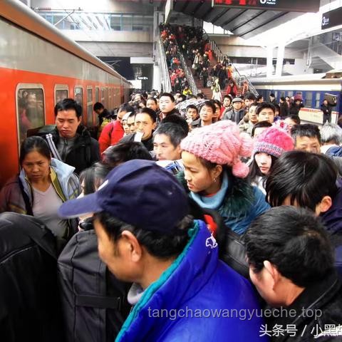 ??生命遷徙：以死亡為名的團(tuán)圓之旅